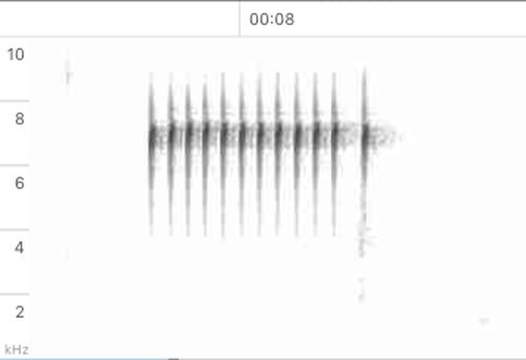 An audio graph of amphibian sound