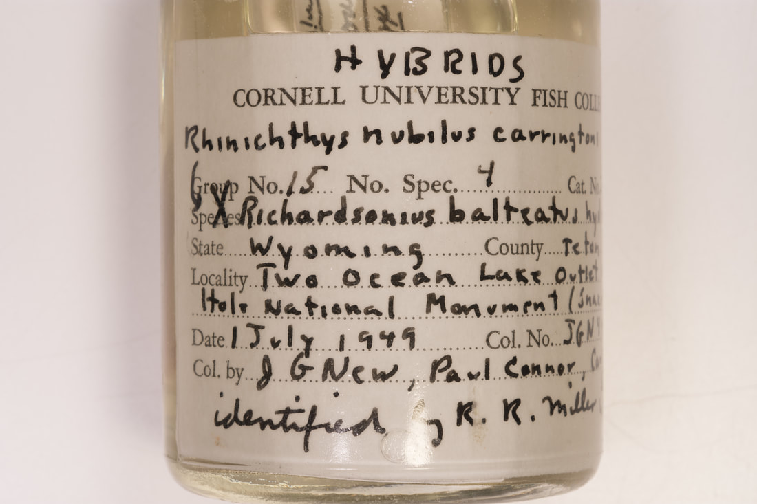 Close-up of a sample jar with a label explaining the. contents in detail